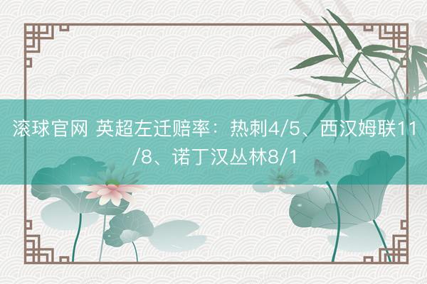 滚球官网 英超左迁赔率:热刺4/5、西汉姆联11/8、诺丁汉丛林8/1