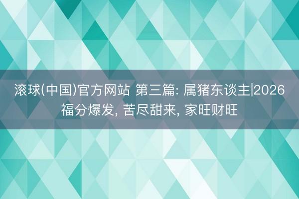 滚球(中国)官方网站 第三篇: 属猪东谈主|2026福分爆发， 苦尽甜来， 家旺财旺