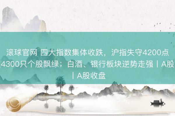 滚球官网 四大指数集体收跌，沪指失守4200点，超4300只个股飘绿；白酒、银行板块逆势走强丨A股收盘
