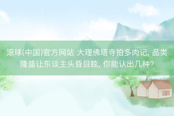 滚球(中国)官方网站 大理佛塔寺拍多肉记， 品类隆盛让东谈主头昏目眩， 你能认出几种?