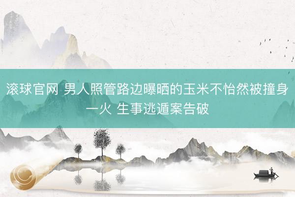 滚球官网 男人照管路边曝晒的玉米不怡然被撞身一火 生事逃遁案告破