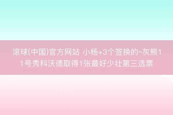 滚球(中国)官方网站 小杨+3个签换的~灰熊11号秀科沃德取得1张最好少壮第三选票