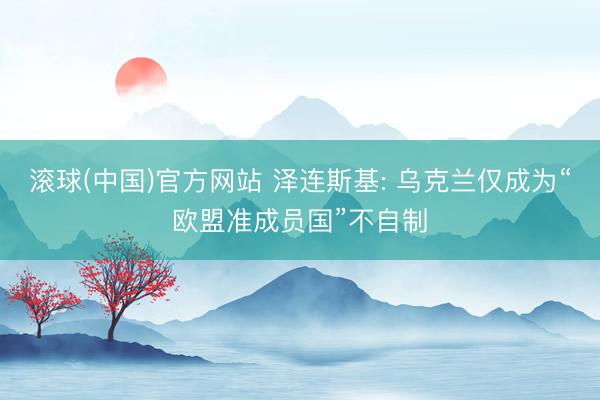 滚球(中国)官方网站 泽连斯基: 乌克兰仅成为“欧盟准成员国”不自制