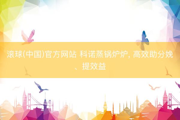 滚球(中国)官方网站 科诺蒸锅炉炉, 高效助分娩、提效益