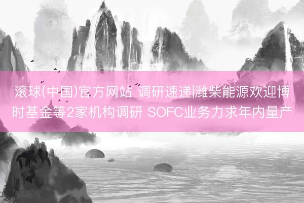 滚球(中国)官方网站 调研速递|潍柴能源欢迎博时基金等2家机构调研 SOFC业务力求年内量产