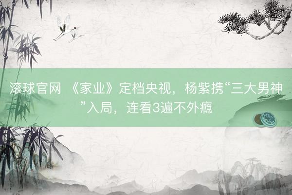 滚球官网 《家业》定档央视,杨紫携“三大男神”入局,连看3遍不外瘾