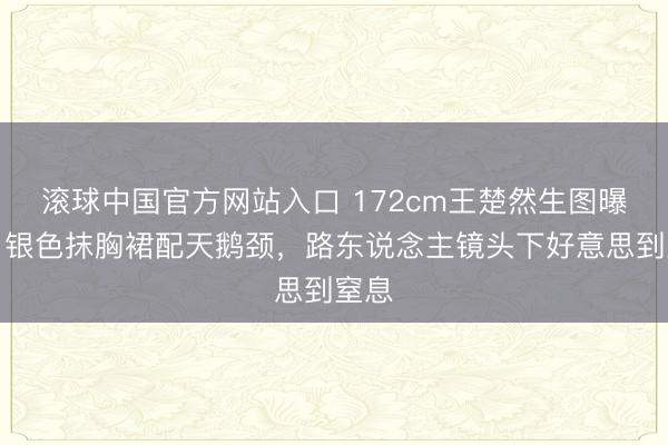 滚球中国官方网站入口 172cm王楚然生图曝光！银色抹胸裙配天鹅颈，路东说念主镜头下好意思到窒息