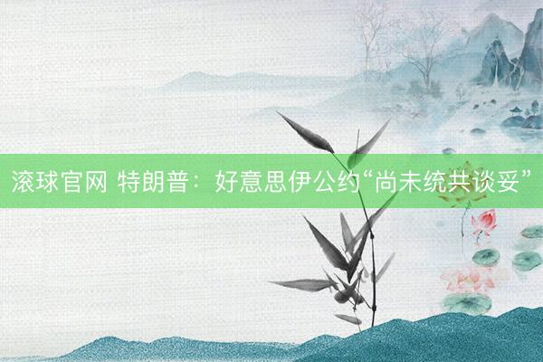 滚球官网 特朗普：好意思伊公约“尚未统共谈妥”