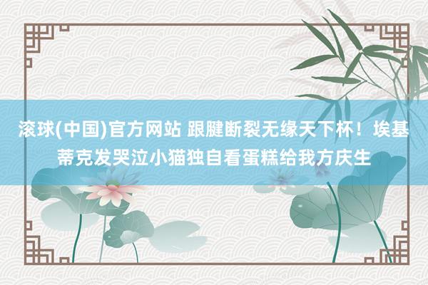 滚球(中国)官方网站 跟腱断裂无缘天下杯!埃基蒂克发哭泣小猫独自看蛋糕给我方庆生
